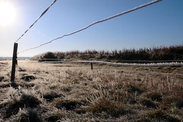 Ijs gecoate draad hek in een boerderij veld — Stockfoto