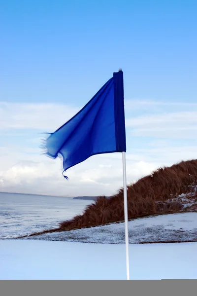 Golfbana grön på vintern och en blå flagga — Stockfoto