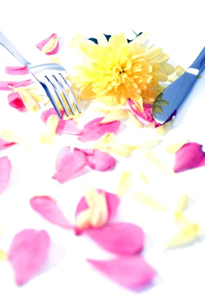 银叉子和刀用大丽花隔绝和玫瑰花瓣 — 图库照片