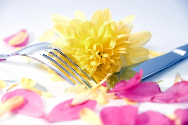 Faca de prata e garfo isolado com dália e pétalas de rosa — Fotografia de Stock