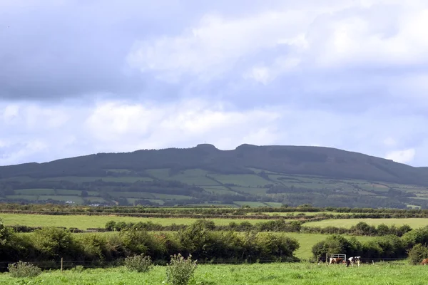 View of the devils bit — Stock Photo, Image