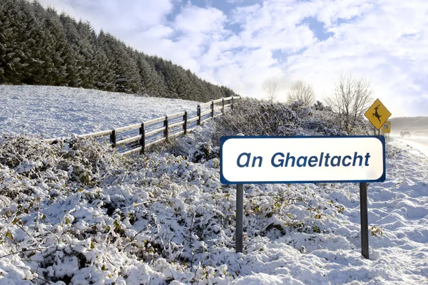 Um sinal de ghaeltacht na cena de neve irlandesa — Fotografia de Stock