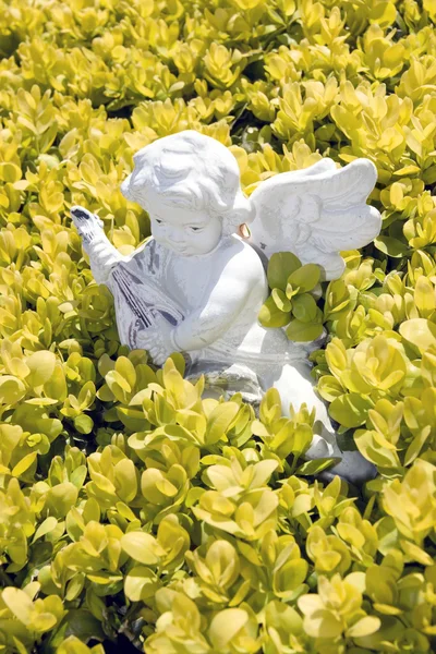 Socha anděla hrát hudbu v květech — Stock fotografie