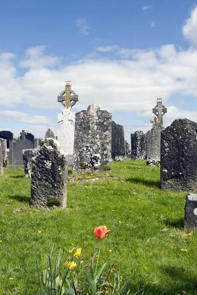 Antiguo cementerio celta con flores —  Fotos de Stock