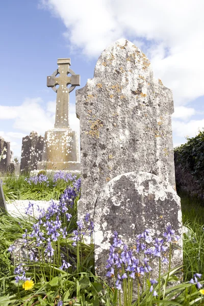 Vecchio cimitero celtico irlandese antico con campanule — Foto Stock