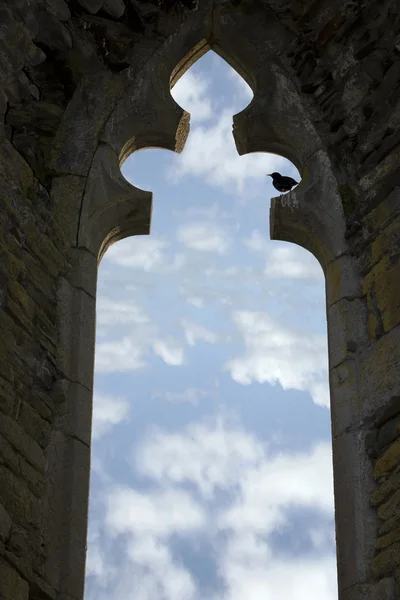 Janela de arco velho com estorninho — Fotografia de Stock