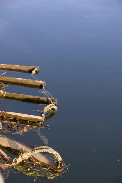 Bois flottant dérivant — Photo