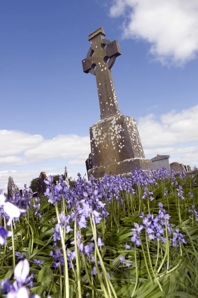 Velho antigo cemitério celta irlandês com sinos azuis — Fotografia de Stock