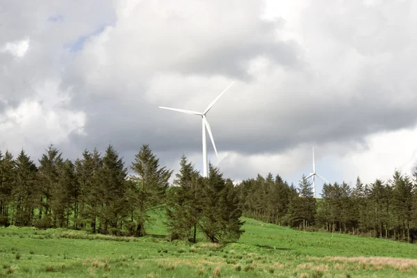 Vista panoramica dei mulini a vento nella verde campagna irlandese — Foto Stock