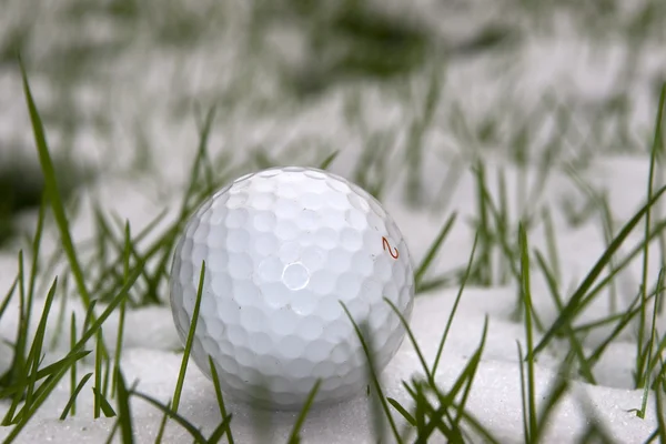 Una sola pelota de golf en la nieve — Foto de Stock