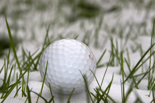 Ein einzelner Golfball im Schnee — Stockfoto