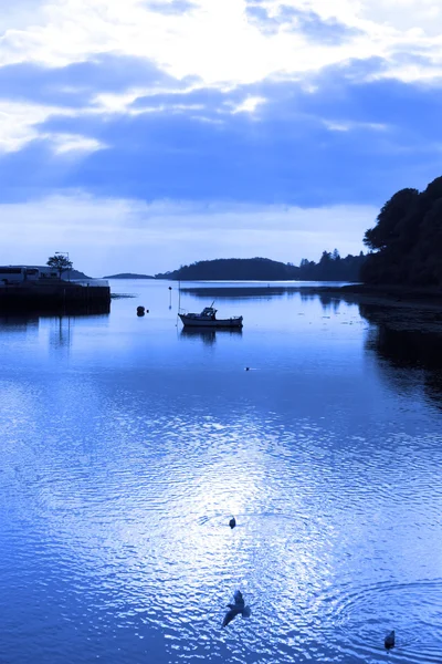 Kék tónusú sziluett, a csónak és a madarak a naplemente — Stock Fotó