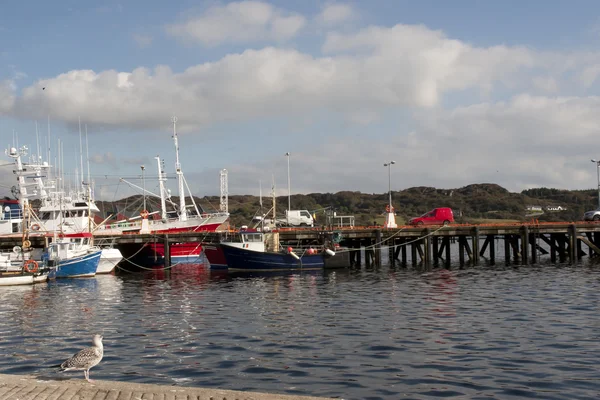 Boten afgemeerd in de kalme wateren van killybegs — Stockfoto