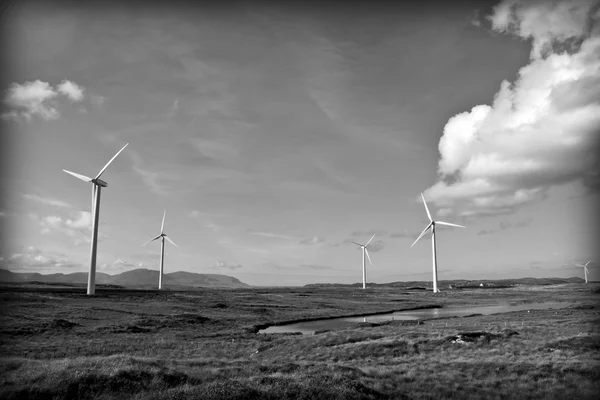 Palude con turbine eoliche in bianco e nero — Foto Stock