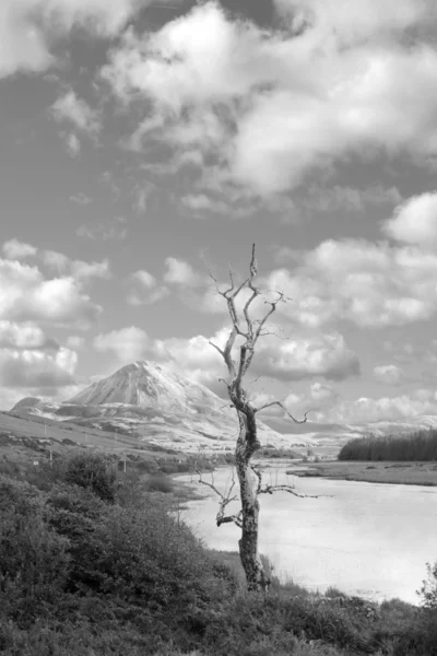 Errigal mountains and countryside in county Donegal — Stock Photo, Image