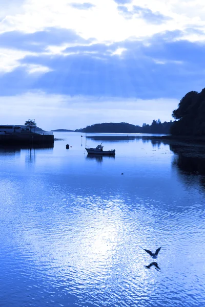 Silueta de barco y aves al atardecer en tono azul — Foto de Stock