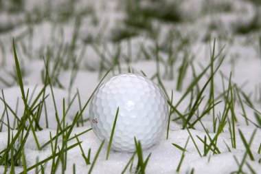 golf ball in the snow covered grass clipart