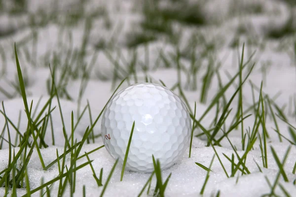 Bola de golfe na grama coberta de neve — Fotografia de Stock