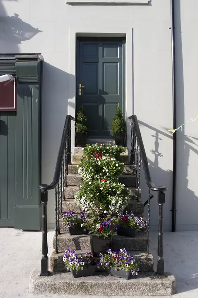Flowers on the steps of an Irish doorway — Stock Photo, Image