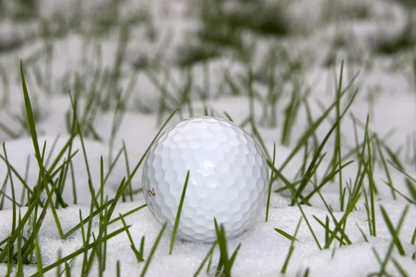 Bola de golfe na grama coberta de neve Imagem De Stock