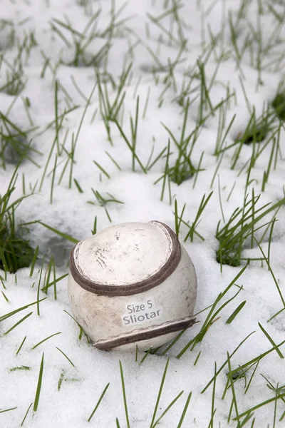 Sliotar irlandzki skóry hurling ball — Zdjęcie stockowe