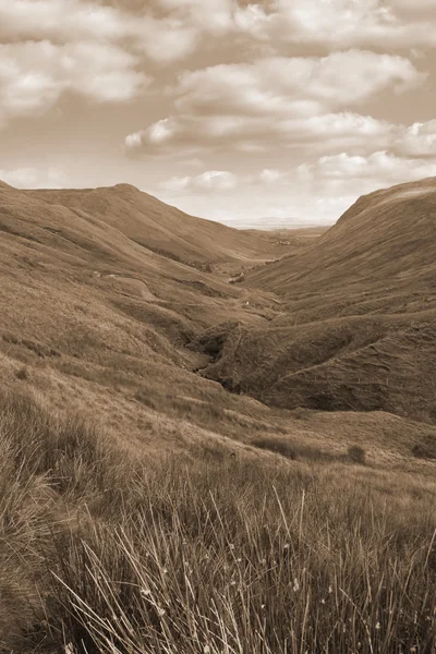 Длинная трава и извилистая дорога с горами в сепии — стоковое фото