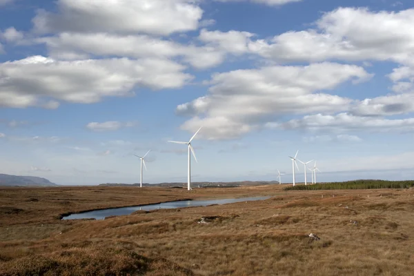 Palude paludosa con turbine eoliche — Foto Stock