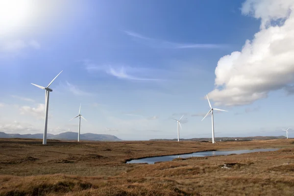 Luce del sole e palude con turbine eoliche — Foto Stock