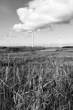 uzun otların ve aylarımı Rüzgar türbinleri siyah ve beyaz ile