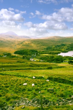 güzel donegal eski dunlewy kilisede