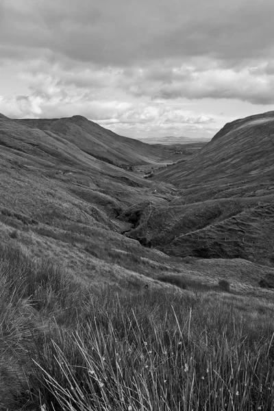 Длинная трава и извилистая дорога с горами в черно-белом — стоковое фото