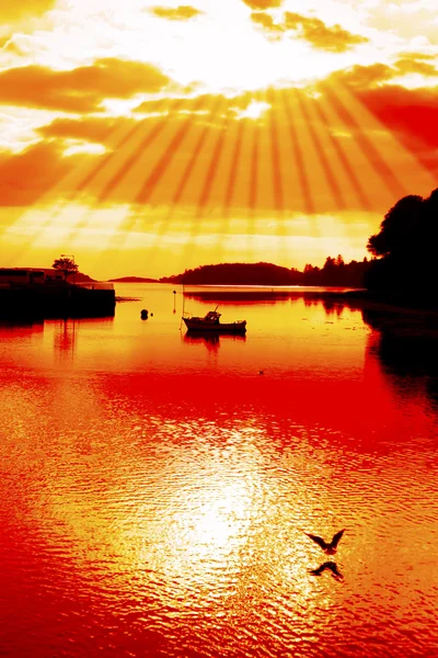 Красный горячий силуэт лодки и птиц на закате — стоковое фото