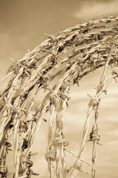 Vass taggtråd i sepia — Stockfoto