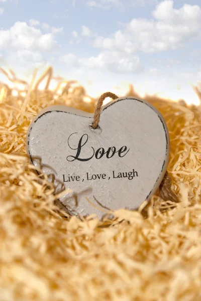 Single wooden heart in a love nest — Stock Photo, Image