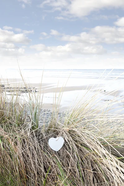 Pojedyncze drewniane serca na plaży dunes — Zdjęcie stockowe