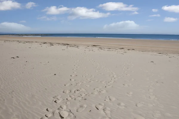 Beautiful sandy Ballybunion beach — Stock Photo, Image