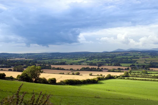 Bella lussureggiante terreno agricolo irlandese — Foto Stock