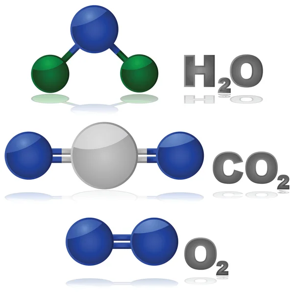 常见分子 — 图库矢量图片