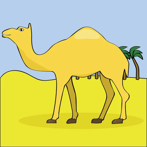 Kamel in der Wüste — Stockvektor