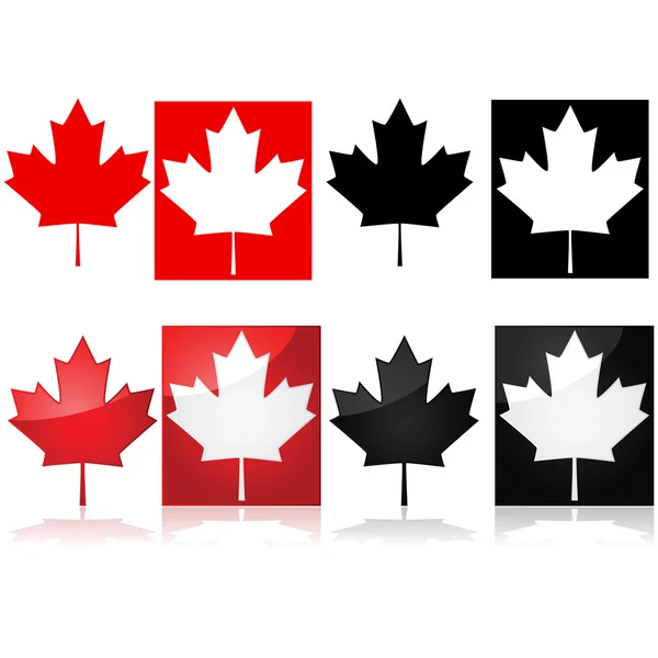 Canadian maple leaf — Stock Vector