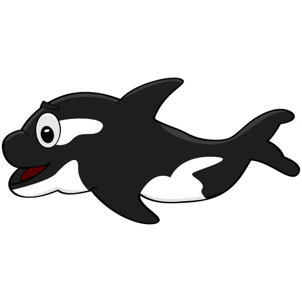 Cartoon Killer whale — Stockvector