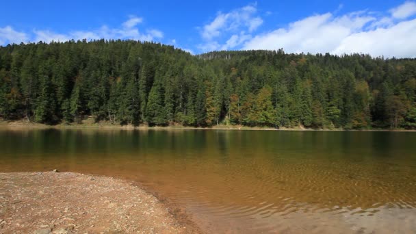 Čisté jezero vody — Stock video