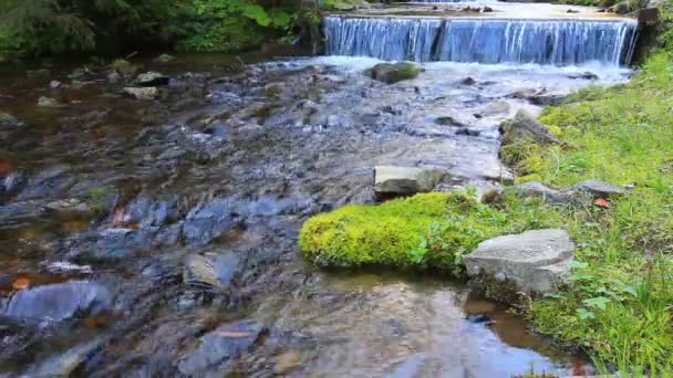 Вода чистий водоспад — стокове відео