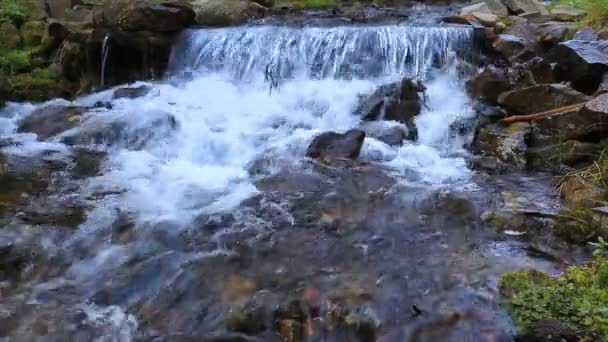 Água limpa da cachoeira — Vídeo de Stock