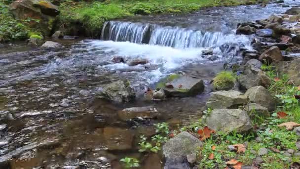 Wodospad czystej wody — Wideo stockowe