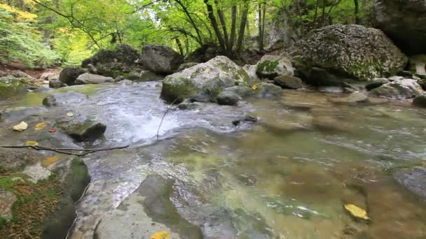 Agua de cascada limpia — Vídeos de Stock