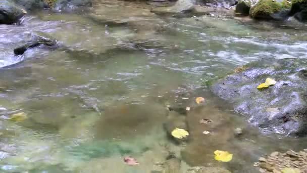 Eau de cascade propre 