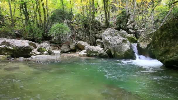 Agua de cascada limpia — Vídeo de stock