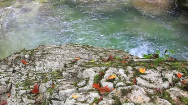 Agua de cascada limpia — Vídeo de stock