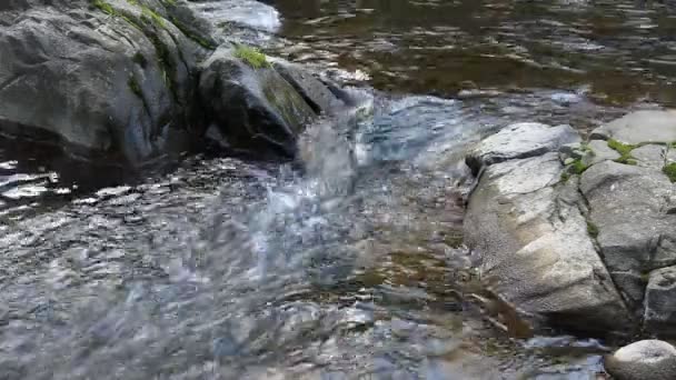きれいな水 — ストック動画